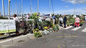 Cap d'Agde - Avant-Ports - 2 Juin 2024 - 25
